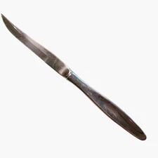 Stainless Steel Steak Knife Replacement