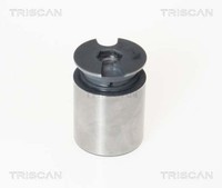 Triscan Kolben, Bremssattel 8170 233863 FüR Ford Jaguar Renault