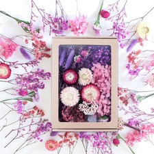 Trockenblumen Basteln Pink Nat&uuml;rliche Getrocknete Blumen Kunstdeko DIY