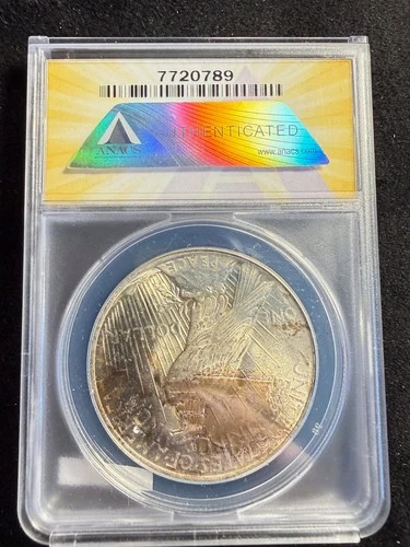 GORGEOUS Toning 1923 $1 Silver Peace Dollar MS 63 ANACS ESTATE US Coin cb622