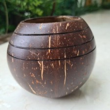(Set of 2) 10cm Round Plant Pots Natural Coconut Shell Wood Planters For Garden