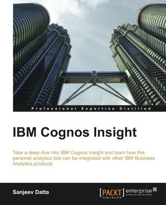 IBM COGNOS INSIGHT By Sanjeev Datta *Excellent Condition*