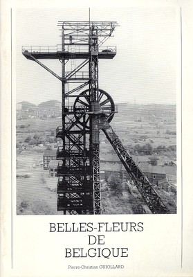 SCHÖNE BLUMEN AUS BELGIEN Kohle Kohle Kohle Bergwerke Guiollard