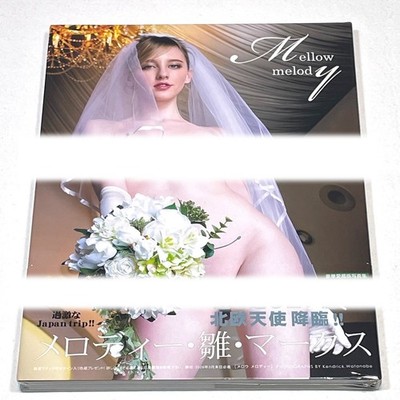 Melody Hina Marks Photo Book Mellow melody Deluxe Edition Japan New