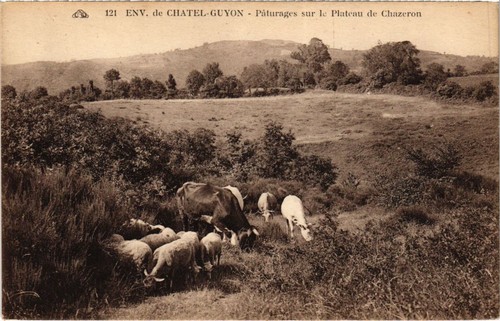 CPA CHATEL-GUYON Environs - En Avion sur le Chateau de Tournoel