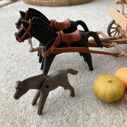 Carro de Caballo y Calabaza de Granjero Playmobil 3735 de Colección Raro con Conejos y Pollos - Imagen 4 de 13