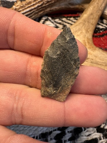 Jack Reef fünfeckige Waldperiode - Nelson County Virginia. A89 - Bild 7 von 18