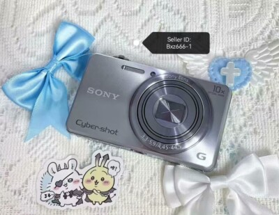 SONY Cyber Shot DSC-WX200 18.2MP 10x Digital Camera &Battery SD