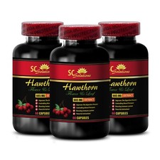 digestive health powder - HAWTHORN BERRY EXTRACT - energy supplements powder - 3
