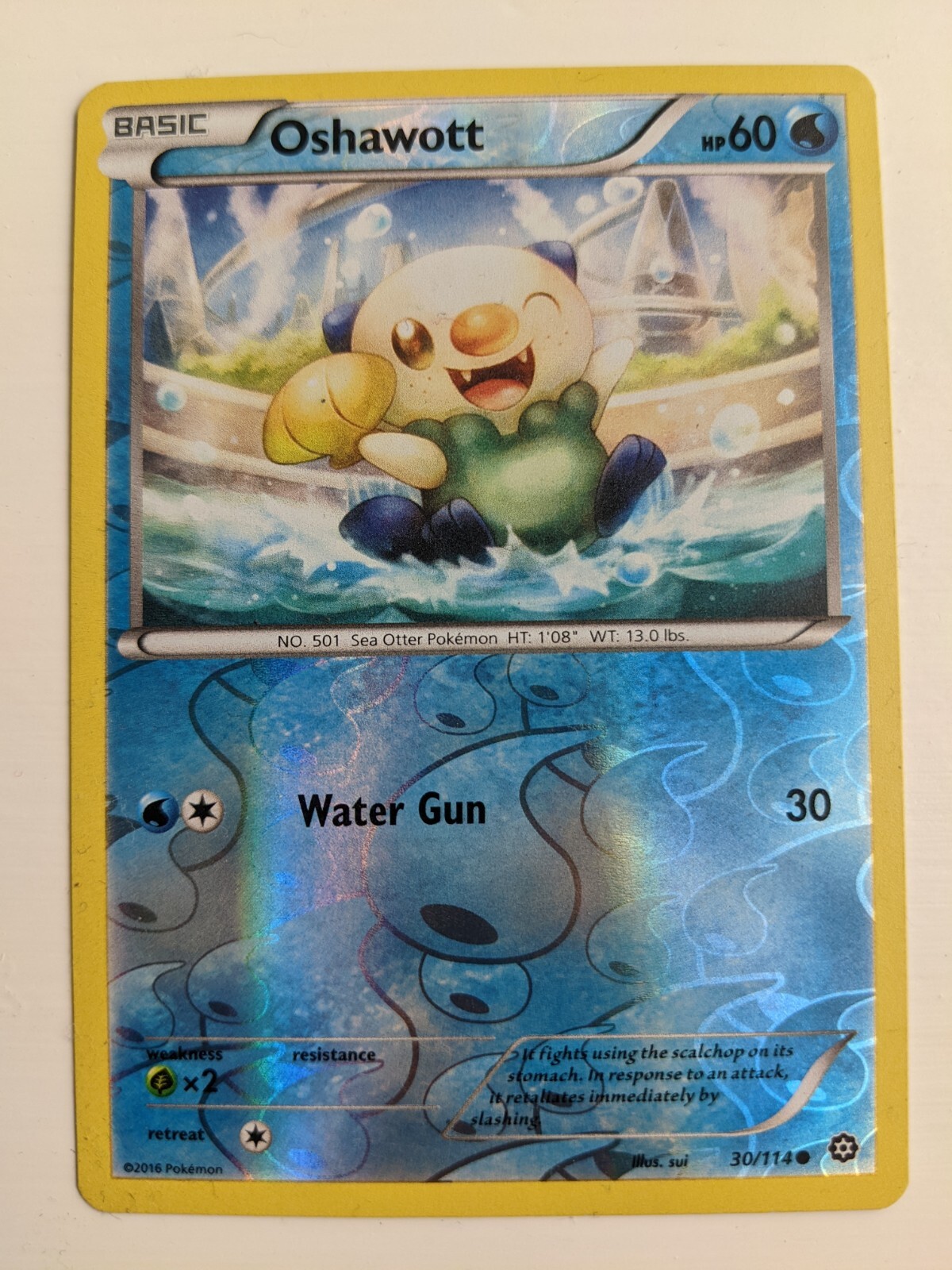 Pokémon TCG Oshawott Steam Siege 30/114 Reverse Holo Common