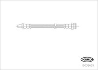 Corteco Bremsschlauch Hinterachse, Radseitig U.A. FüR Fiat, Lancia