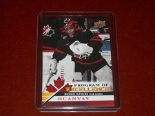 2020-21 Upper Deck Canvas Program of Excellence Michael DiPietro 