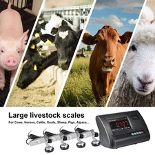 11000lb Livestock Scale Kit for Hogs Goats Sheep Alpacas Pigs & Plat form scales