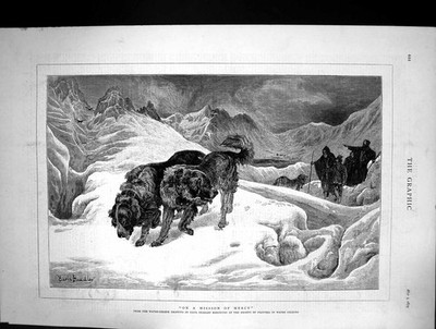 Alte 1879 Mission Mercy Bernhardiner Rettungshunde Schnee Berge Bradl viktorianisch