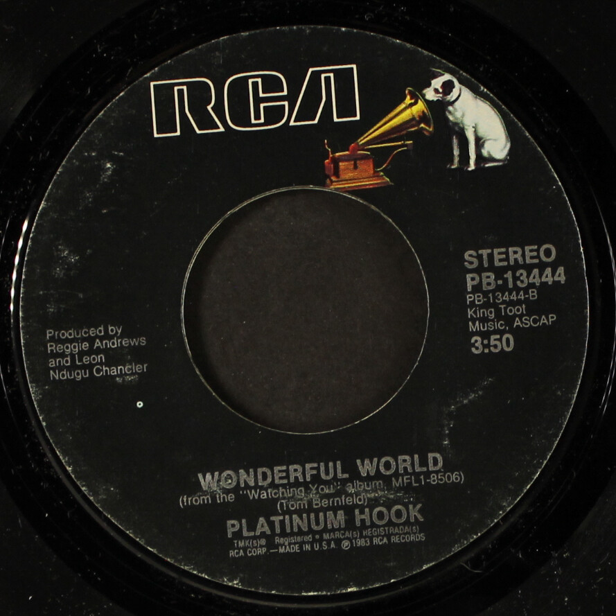 Platinum Hook Watching You レコード PLATINUM HOOK / Watching You