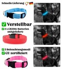 Bild 1 von 22