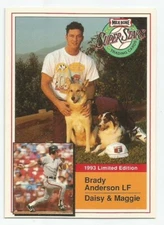 BRADY ANDERSON 1993 MILK BONE SUPER STARS CARD NEAR MINT+ CONDITION