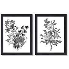 Framed Vintage Botanical Prints, Black 12"x16" Framed Retro Flower Black Frame