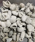 Civil War Bullets - .69 Carcano - Fired - Battle Of New Bern NC