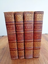 1831 BUFFON'S NATURAL HISTORY OF THE GLOBE & MAN VOLS I-IV ED BY WRIGHT BUFFON