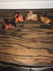 LOT OF 4 FENTON HORSES FOR lagoi-8655