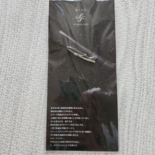 Star Flyer SFJ Airplane Design Pin Badge