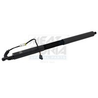 Meat & Doria Gasfeder Einlegeboden Hinten Links FüR BMW 3 Gran Turismo F34 320D