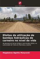 Efeitos Da UtilizaçãO De Bombas HidráUlicas De Carneiro No NíVel De Vida Buch