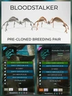 BLOODSTALKER Pre-cloned Genesis - New Dino - Ark Ascended PVE Official Crossplay