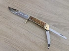 Folding hunting knife