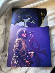 ザ・ファミリー - The Family【廃盤CD／Prince】 The Family - The