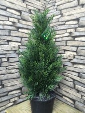 Outdoor Cedar Topiary Tree - 2ft/60cm - By Best Artificial