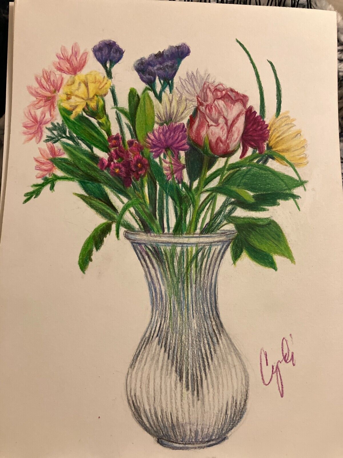 Picture 5 of 5