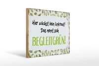 Holzschild Spruch 40X30 Cm WäChst Kein Unkraut BegleitgrüN Deko Schild