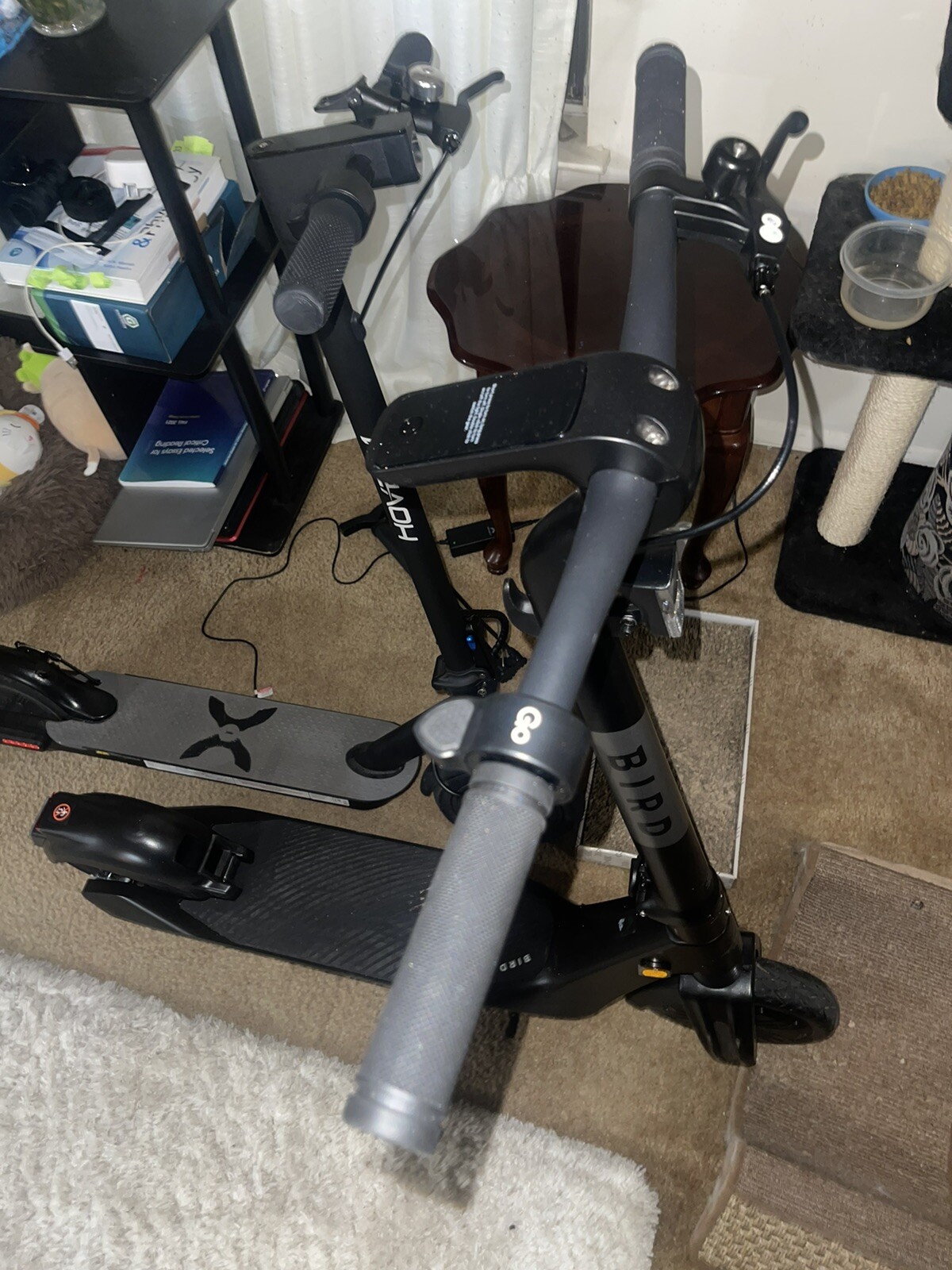 Bird Flex Electric Scooter eBay