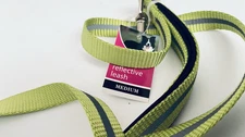 5ft. Dog/Pet Leash, Neon Green, Reflective Striping On One Side, Padded Handle
