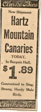 1913 CANARIES $1.89 - CLARKE BROS SCRANTON PA - SCRANTON TRIBUNE - REPUBLICAN AD