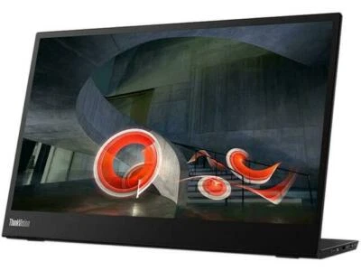Lenovo Thinkvision M14 | eBay