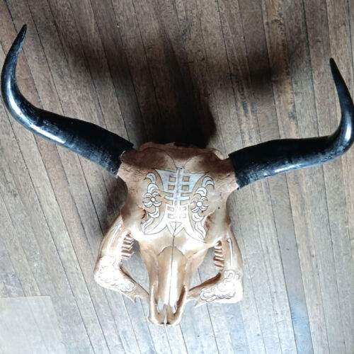 calcetines Sumamente elegante posterior 26" WOW Tibetan Yak Skull Taxidermy Skeleton Decor Horns Wall Hanging | eBay