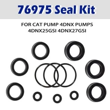 76975 Seal Kit for CAT Pump 4DNX Pumps 4DNX25GSI 4DNX27GSI Regular Maintenance