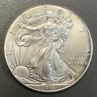 2013 American Eagle Silver Dollar / 1 oz .999 Silver / Uncirculated