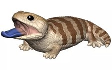 Figurine Shokugan Gashapon Tenori Friends 6 scink à langue bleue