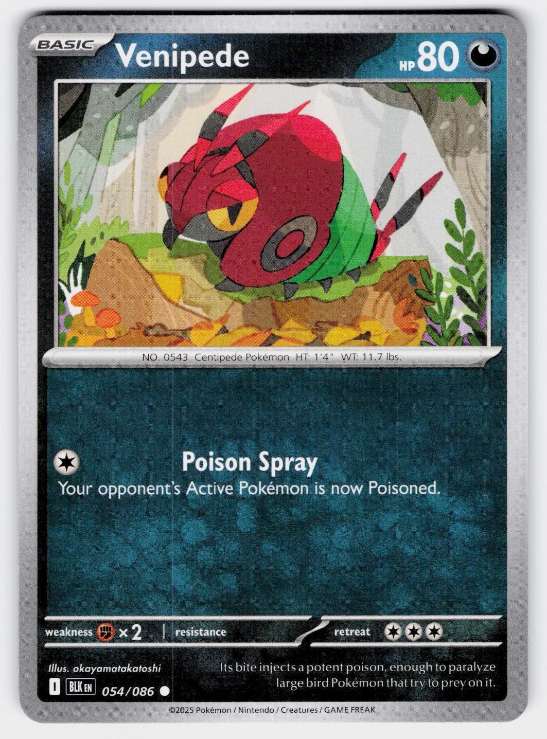 VENIPEDE 054 C BLACK BOLT POKEMON NM/M