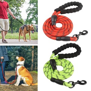 chew resistant dog leash