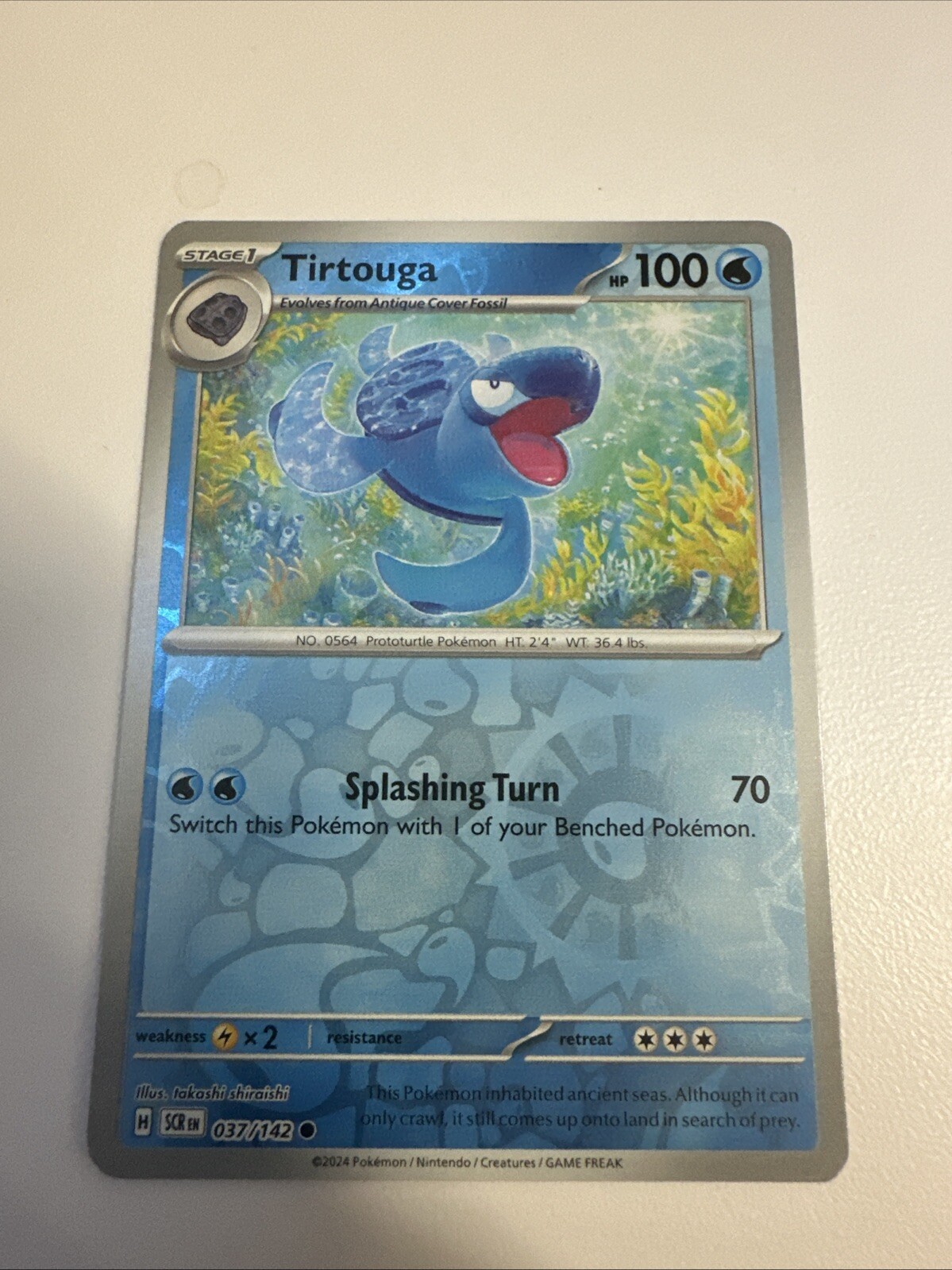 Tirtouga - 037/142 Stellar Crown REVERSE Holo Pokemon - NM/MINT
