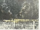 Picture 4 of 17