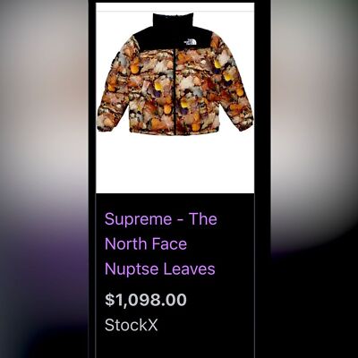 Rare Supreme X The North Face Nuptse “Leaves” FW16 700 Fill Ski