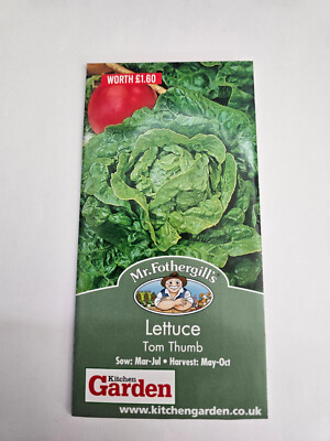 Lettuce Seeds Tom Thumb 750 Fresh Seeds Lettuce Seeds Vegetable Seeds ...