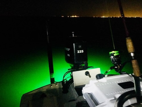 GREEN BP LED 1" RUBBER PLUG LIGHT 1000 LUMEN UNDERWATER BOAT PLUG LED LIGHT - 第 4/17 張圖片