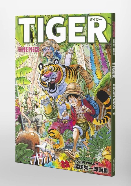 Tiger One Piece Illustration Collection Color Walk 9 Anime Art Comic Japan Book For Sale Online Ebay